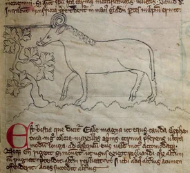 CCA-LitMs/D/10 fol. 4r Yale, a Bestiarytől