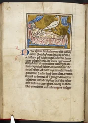 Caladrius madár - Bestiárium, Royal MS 12 C XIX, f.47v