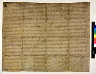 Pamut Augustus ii. 38 f.1 A szabadság visszaszolgáltatása Abingdonnak, 993 (tinta pergamen)