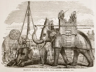 Csatára felszerelkezett elefánt, páncélzattal, howdah-val stb., illusztráció a Cassells Illustrated History of India-ból, James Grant, pub. 1879