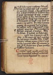 Kivonatok Henry of Huntingdon Historia Anglorum című művéből, Cotton MS Titus D XXIV, f.132v (pergamen)