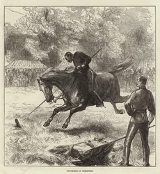 Az Illustrated London News címlapja, 1875. június 12