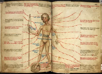 Harley 3719, ff.158v-159 Miniatűr egy vérontó emberről, egyik lábával vérző serpenyőben, orsóval a kezében, illusztráció a „Miscellany különböző csillagászati, naptári, orvosi és filozófiai szövegekkel” című könyvéből.