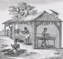 Dohánykészítés, Samuel Hazard "Santo Domingo múltja és jelene" című művéből. 1873