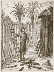 Robinson Crusoe a lugat építi, illusztráció a The Story of Robinson Crusoe-ból: Adaptáció gyerekeknek Defoes nyelvét követve, pub. Griffith Farran Browne & Co. Limited, London