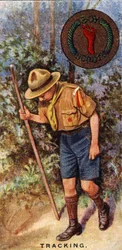 Cserkészkövető jelvény, 1929