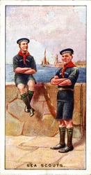Tengeri cserkészek, 1929
