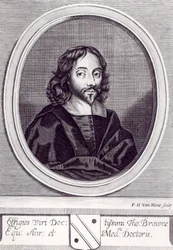 Sir Thomas Browne (1605-82), metszett Frederick Hendrick van Hove (kb. 1628-98)