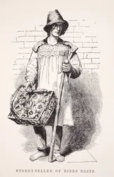 Madárfészkek utcai eladója, Henry Mayhew illusztrációja a London Labor and London Poor-ból, pub. 1862