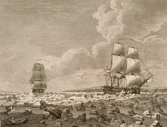 A versenyló és a hasított test áttörése a jégen, 1773. augusztus 10., az Északi-sark felé vezető utazásból, amelyet Őfelségei parancsnoksága 1773-ban vállalt, London 1774.