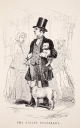 Az utcai kutyaeladó, Henry Mayhew illusztrációja a London Labor and London Poor-ből, pub. 1862