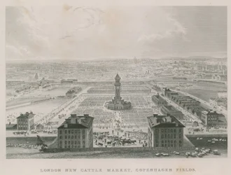 Az új Metropolitan Cattle Market, Copenhagen Fields, London