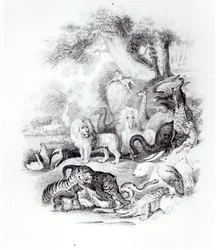 Vadállatok a Föld és az animált természet történetéből, Oliver Goldsmith, London, 1840