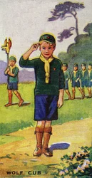 Farkaskölyök, 1923
