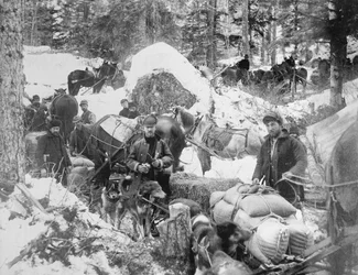 Aranykutatók a Porcupine Hillre kapaszkodnak a Skagway Trail mentén, Alaszkában, a klondike-i aranyláz idején (1897-98), 1898