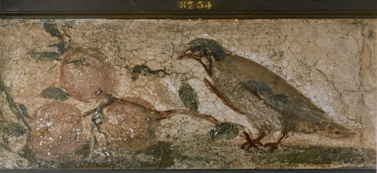 Pompeji madár és gyümölcsök, Olaszország (freskó)