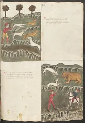 Egész oldal: szöveg és miniatúrák: " Carne le lepore " - nyúl és róka vadászat: "Carne de orso" - medvevadászat (miniatűr)