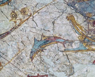Hajó orr és delfin