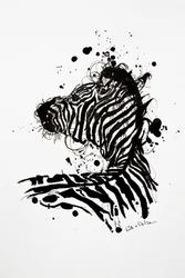 Vad zebra tintacsepp