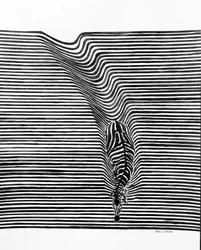 Zebra optikai csalódás
