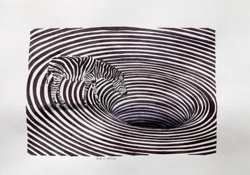 Zebra-örvény illúzió