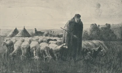 Pikárdia juhászkutya, 1919