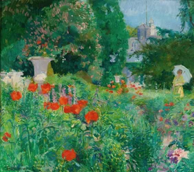 Elegáns a pipacsmezőn
