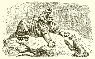 A róka és a tigris