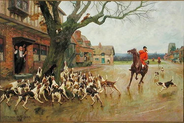 Szomorú róka
