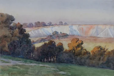Coulsdon Quarry Farthing Downsból (wc papíron)