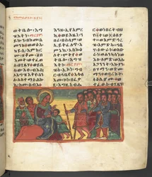 Vagy. 607 f055r, Jelenet Szűz Mária életéből, a Nagara Maryamból
