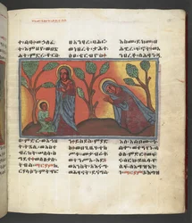 Vagy. 607 f174r, Jelenet Szűz Mária életéből, a Nagara Maryamból