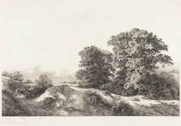 Tölgyfák a Vaux de Cernay-ben
