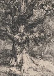 Nagy Károly, tölgyfa sasfészekkel, 1845.