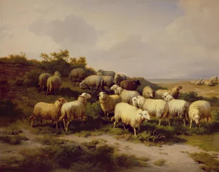 Juhok a parton, 1878