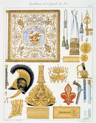 A királyi őrség csendőrei, Insignia