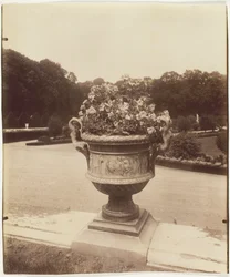 Versailles, Ballin váza, 1902.