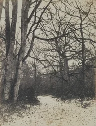 [Fontainebleau-erdő], kb. 1860.