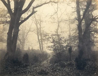[Fontainebleau-erdő], 1860-as évek eleje.