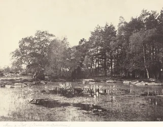 Mocsár Piatnál (Belle-Croix-fennsík)
