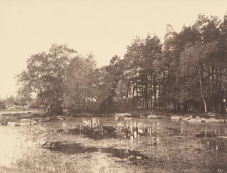 Mocsár Piatnál (Belle-Croix-fennsík), 1863 körül (fénykép)