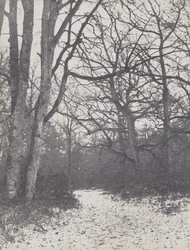 Út az erdőben, 1860-1863.