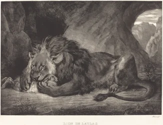 Az Atlasz-hegység oroszlánja (Lion de l