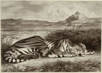 Királyi Tigris