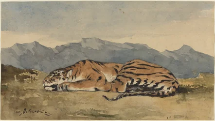Tigris