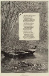 The Kingfisher