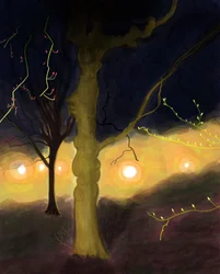 5:20 MProspect Park, Brooklyn (digitális művészet)