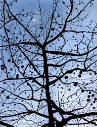London PlaneTree és a Hold, Brooklyn (digitális művészet)