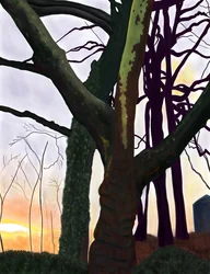Fák, Prospect Park, Brooklyn (digitális művészet)