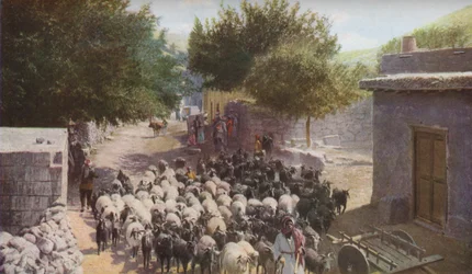Palesztina, 1930-as évek
